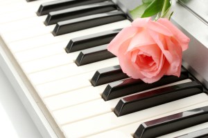 background of synthesizer keyboard with rose